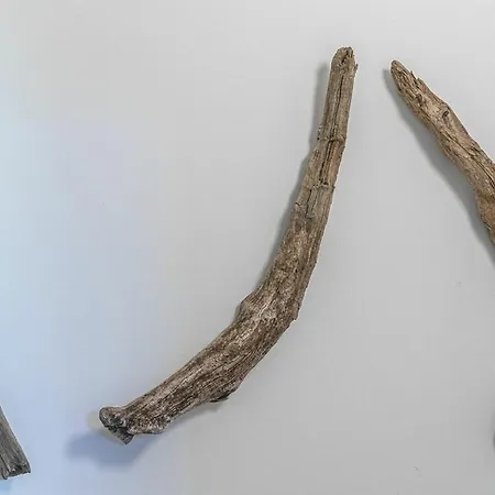 Hafenhaus Bootsquartier Appartamento Waren (Mueritz)