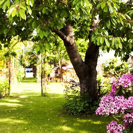 Hafenhaus Bootsquartier